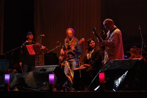 Bega Blues Band in concert la Garana Fest 2010