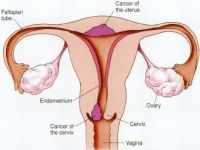 Colul uterin